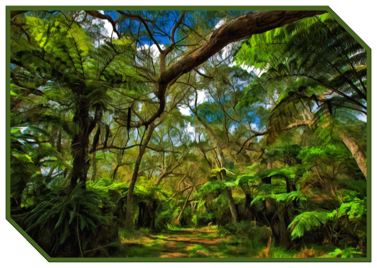 etrago Rainforest2.png